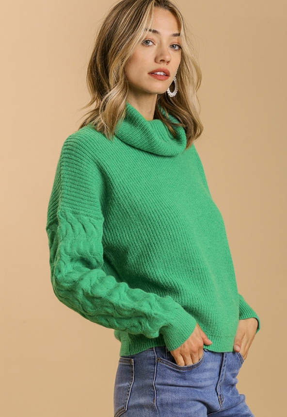 Turtleneck Knit Sweater