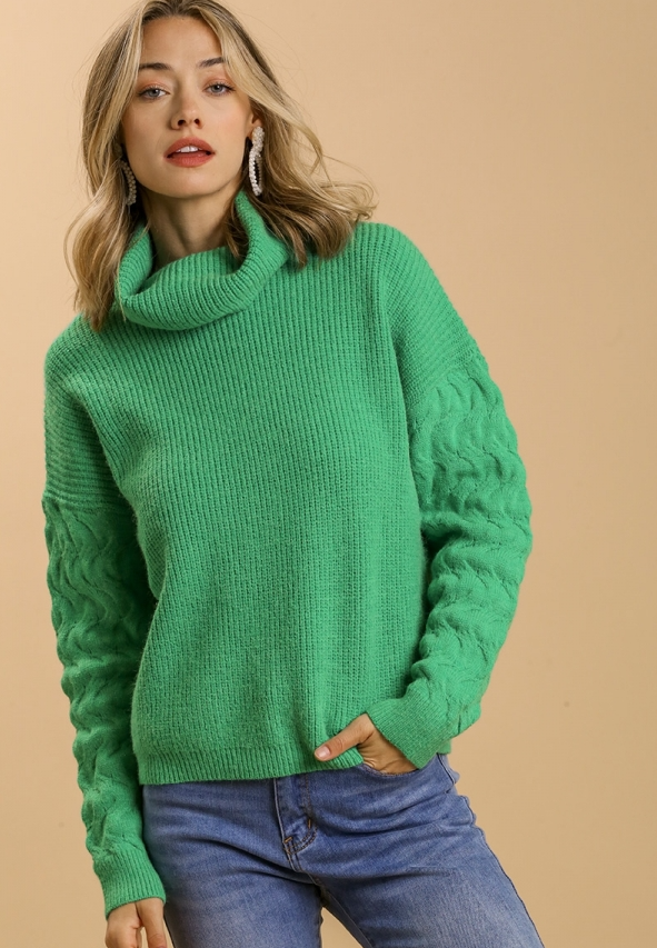 Turtleneck Knit Sweater