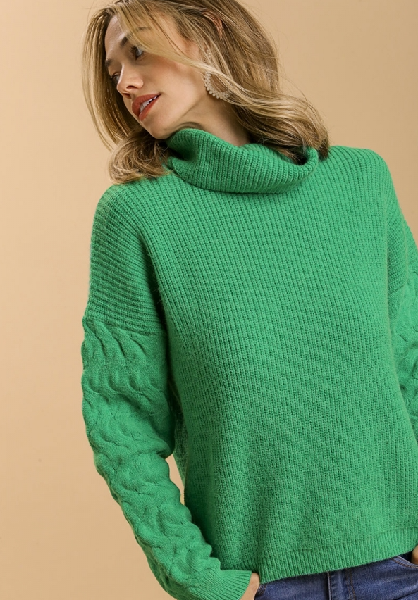 Turtleneck Knit Sweater