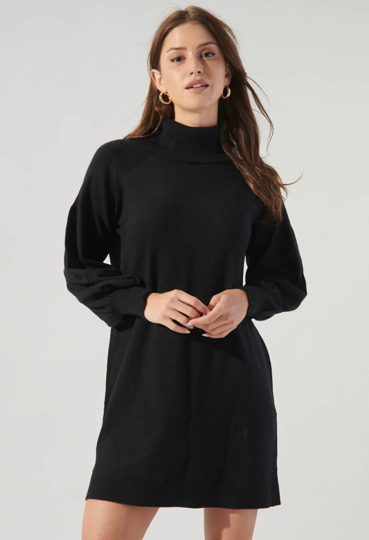 Turtleneck Sweater Dress